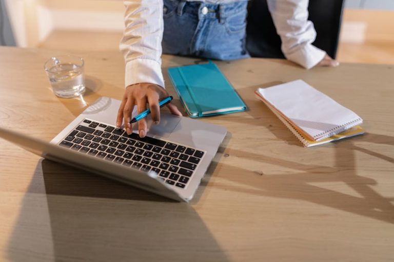The Art of Data Entry: Navigating the Digital Maze